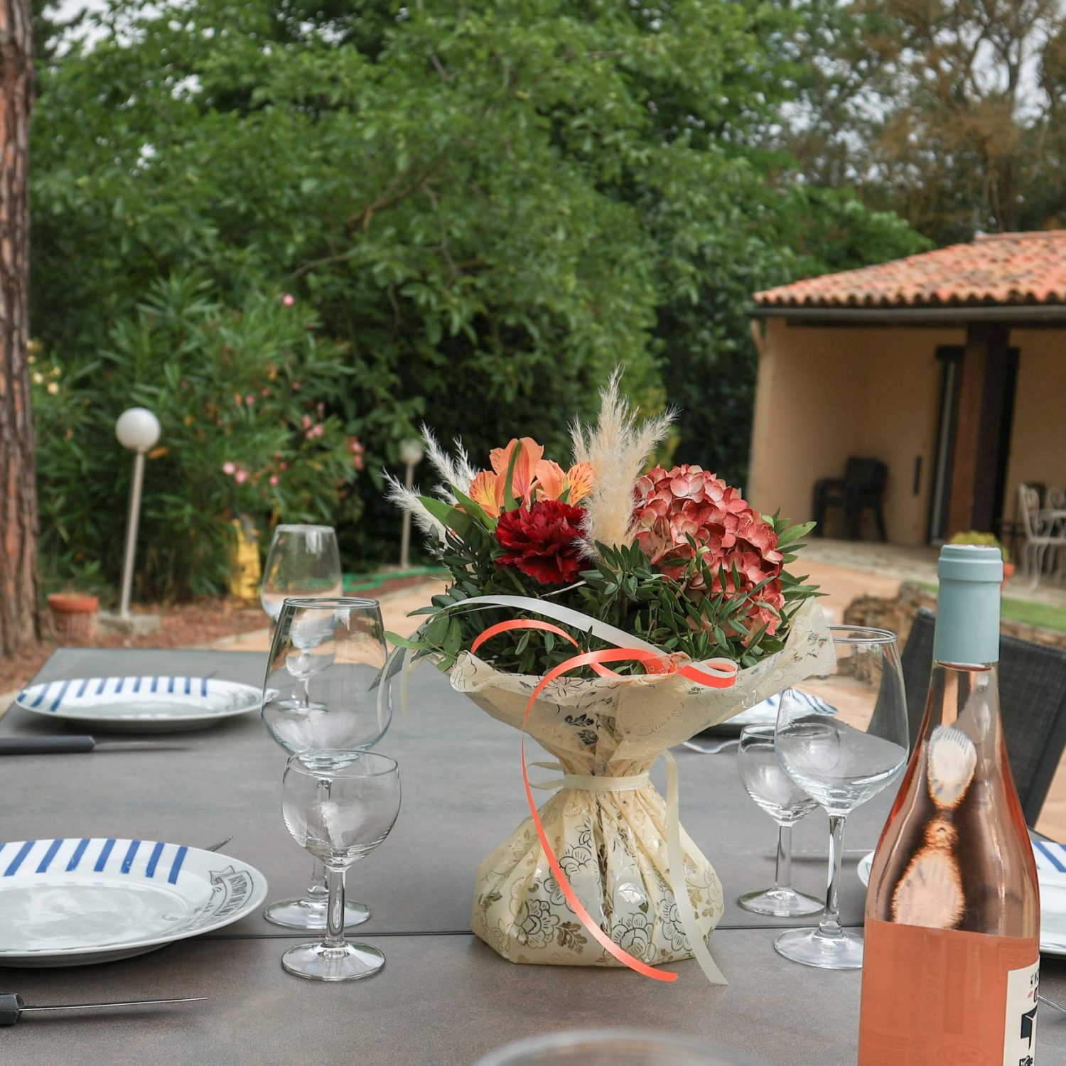 L'éden de Rosy gîte Carcassonne